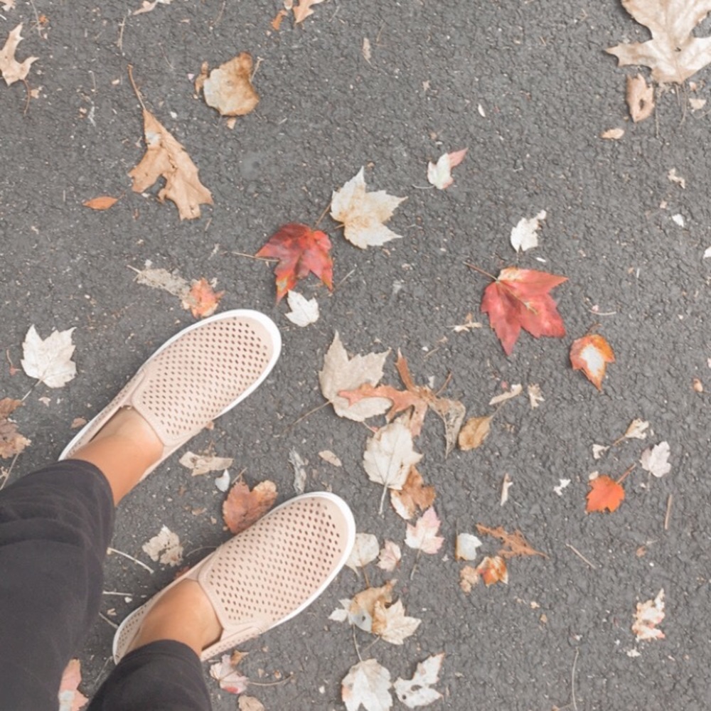 Meet your Posher, Nola